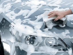 FIRÇASIZ OTO YIKAMA ŞAMPUANI